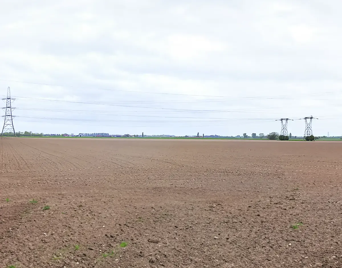 Flat open farmland with pylons at Lapwing Fen II