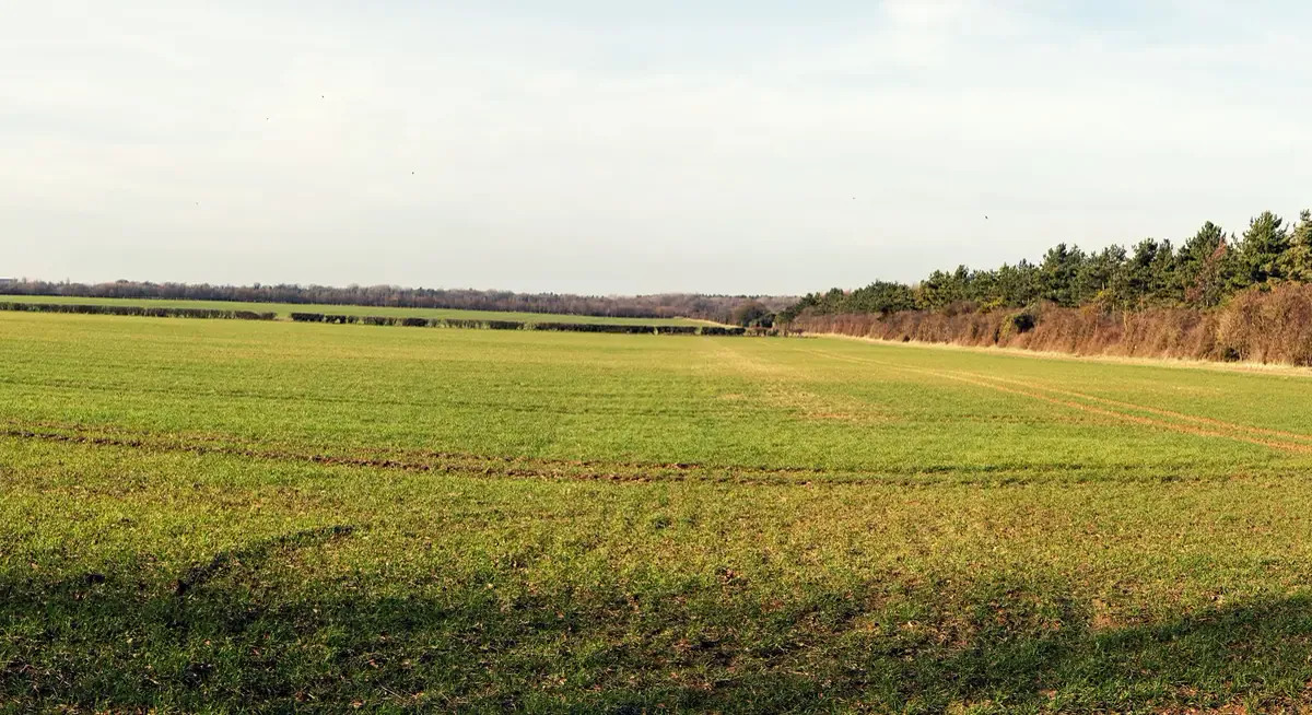 Green fields at the Sunnica Energy Farm site